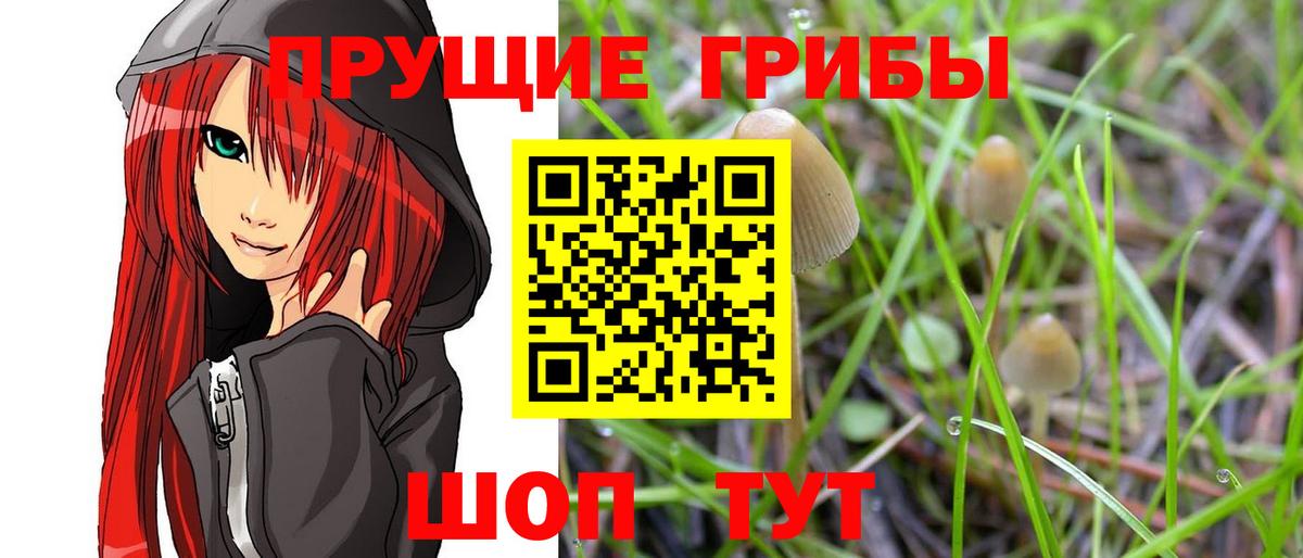 Владивосток  Псилоцибиновые грибы MAGIC MUSHROOMS  где купить   Вход с VPN 